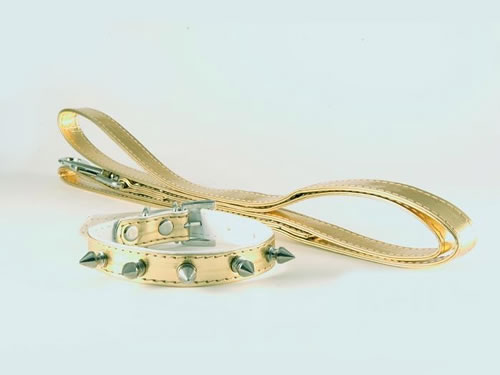 Riem + bandje Spikes