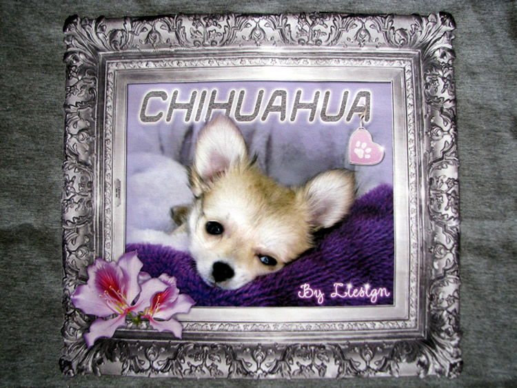 T-shirt met Chihuahua